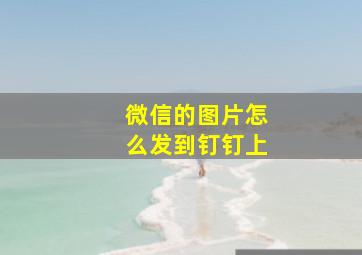 微信的图片怎么发到钉钉上