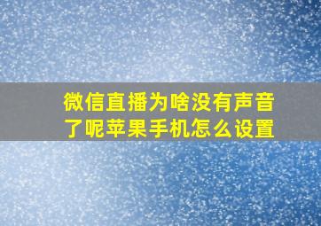 微信直播为啥没有声音了呢苹果手机怎么设置