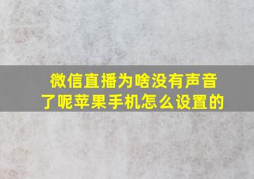 微信直播为啥没有声音了呢苹果手机怎么设置的