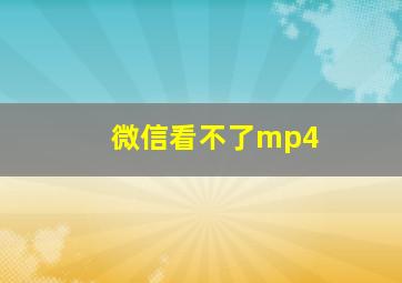 微信看不了mp4