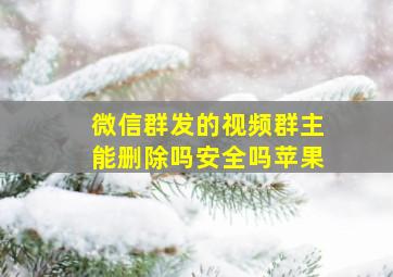 微信群发的视频群主能删除吗安全吗苹果