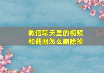 微信聊天里的视频和截图怎么删除掉