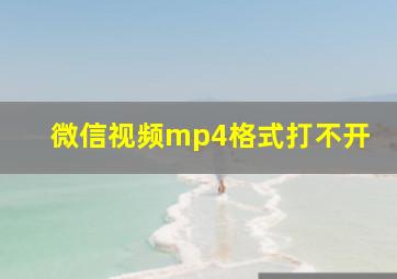 微信视频mp4格式打不开