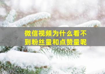 微信视频为什么看不到粉丝量和点赞量呢