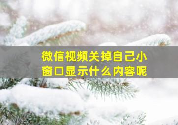 微信视频关掉自己小窗口显示什么内容呢