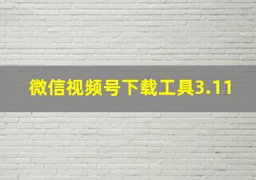 微信视频号下载工具3.11