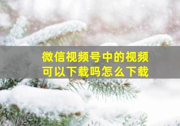 微信视频号中的视频可以下载吗怎么下载