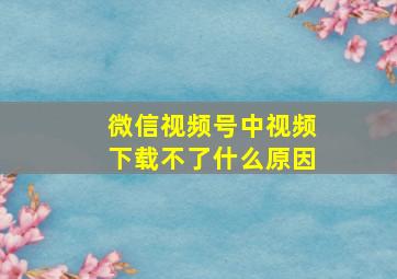 微信视频号中视频下载不了什么原因