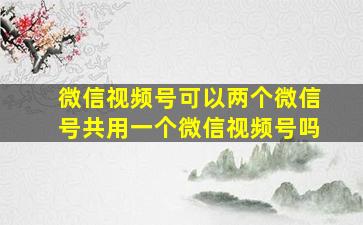 微信视频号可以两个微信号共用一个微信视频号吗