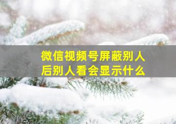 微信视频号屏蔽别人后别人看会显示什么