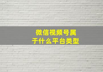 微信视频号属于什么平台类型