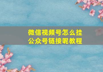 微信视频号怎么挂公众号链接呢教程