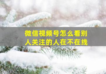 微信视频号怎么看别人关注的人在不在线