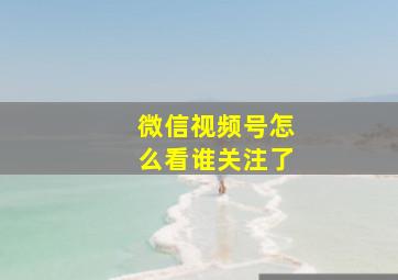 微信视频号怎么看谁关注了