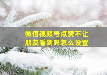 微信视频号点赞不让朋友看到吗怎么设置