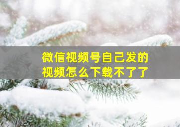 微信视频号自己发的视频怎么下载不了了