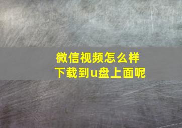 微信视频怎么样下载到u盘上面呢