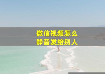 微信视频怎么静音发给别人