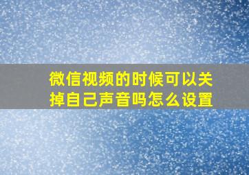 微信视频的时候可以关掉自己声音吗怎么设置