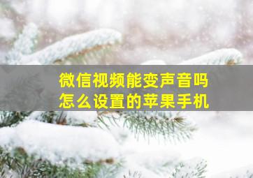 微信视频能变声音吗怎么设置的苹果手机