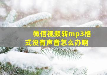 微信视频转mp3格式没有声音怎么办啊