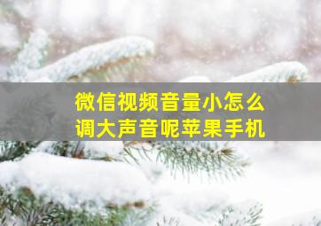 微信视频音量小怎么调大声音呢苹果手机