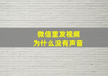 微信里发视频为什么没有声音