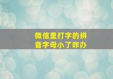 微信里打字的拼音字母小了咋办