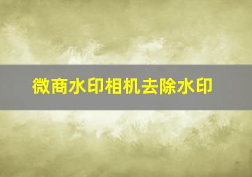 微商水印相机去除水印