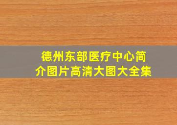 德州东部医疗中心简介图片高清大图大全集