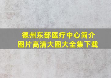 德州东部医疗中心简介图片高清大图大全集下载