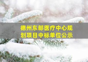 德州东部医疗中心规划项目中标单位公示