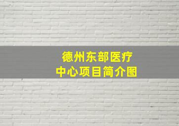 德州东部医疗中心项目简介图