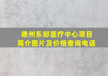 德州东部医疗中心项目简介图片及价格查询电话