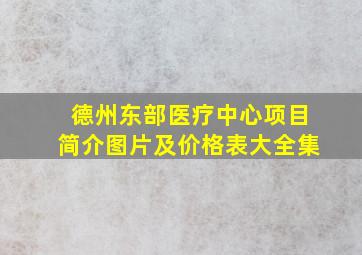 德州东部医疗中心项目简介图片及价格表大全集