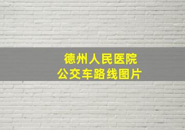 德州人民医院公交车路线图片