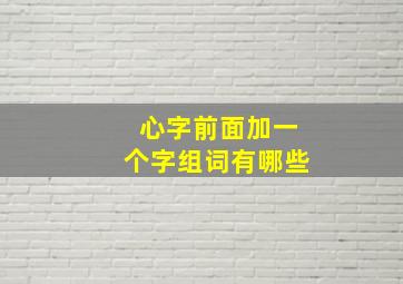 心字前面加一个字组词有哪些