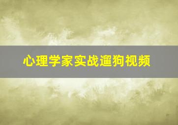 心理学家实战遛狗视频