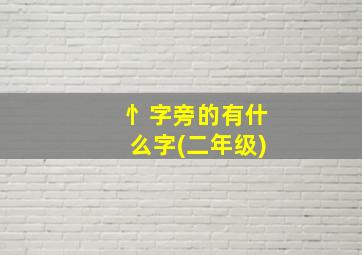 忄字旁的有什么字(二年级)