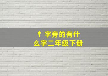 忄字旁的有什么字二年级下册