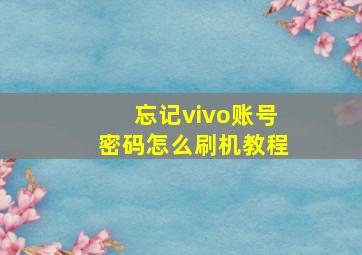 忘记vivo账号密码怎么刷机教程