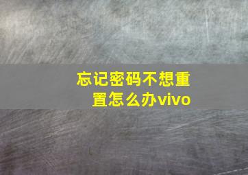 忘记密码不想重置怎么办vivo