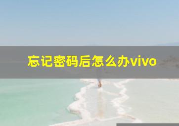 忘记密码后怎么办vivo