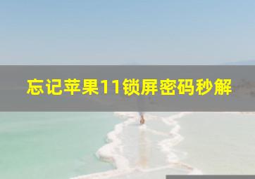 忘记苹果11锁屏密码秒解