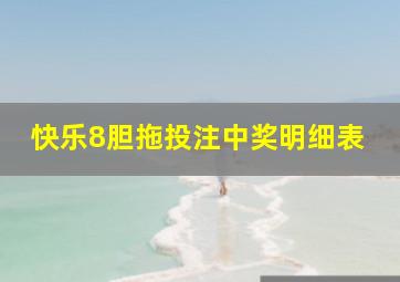 快乐8胆拖投注中奖明细表