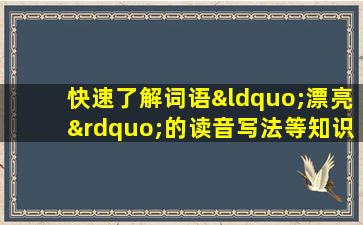 快速了解词语“漂亮”的读音写法等知识点