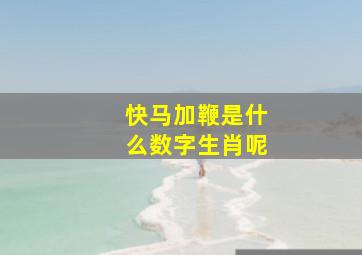 快马加鞭是什么数字生肖呢