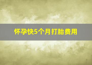 怀孕快5个月打胎费用