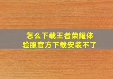 怎么下载王者荣耀体验服官方下载安装不了