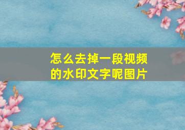 怎么去掉一段视频的水印文字呢图片